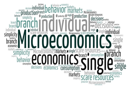 Advance Microeconomics